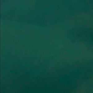 Meet your Posher, Astrid